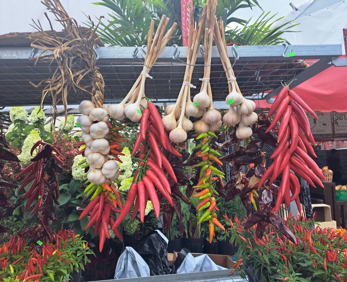 ¿Por qué la presidenta Xiomara Castro tomó la decisión de denunciar el Tratado de Extradición entre Honduras y EEUU?

“Porque hace aproximadamente 4 meses, la inteligencia militar detectó un movimiento de mayores, tenientes coroneles y coroneles, en conversaciones directas con la