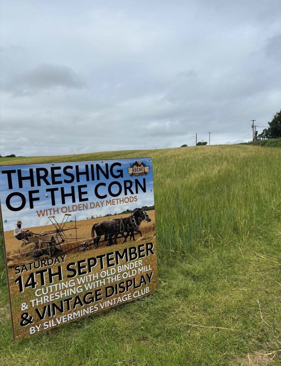 martykings1's tweet image. Old Methods of Corn Thrashing.
Display by Silvermines Vintage Club. Sat 14th Sept 24.
Harvest Weekend 13-14th Sept24.
Roaches Campsite. Clonmines. Wellingtonbridge. Co Wexford
Y35 R9P9
🎶🎶Sat night. Coffee Dock & Chipper.
📞 / WhatsApp Margaret 087 2718803