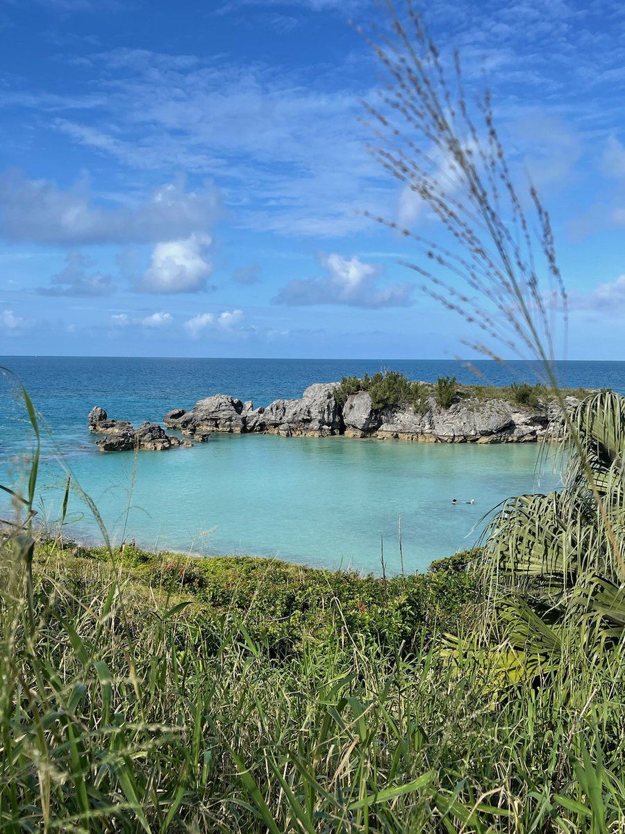 ClimateActionN9's tweet image. “If we’re serious about avoiding climate catastrophe, we need to restore all 3 earth sinks (our lands, forests and oceans) to function as nature designed them.”

—John Doerr, “Speed &amp;amp; Scale, An Action Plan for Solving Our Climate Crisis Now” Chp 4 “Protect Nature”

📸:Noreen Wise