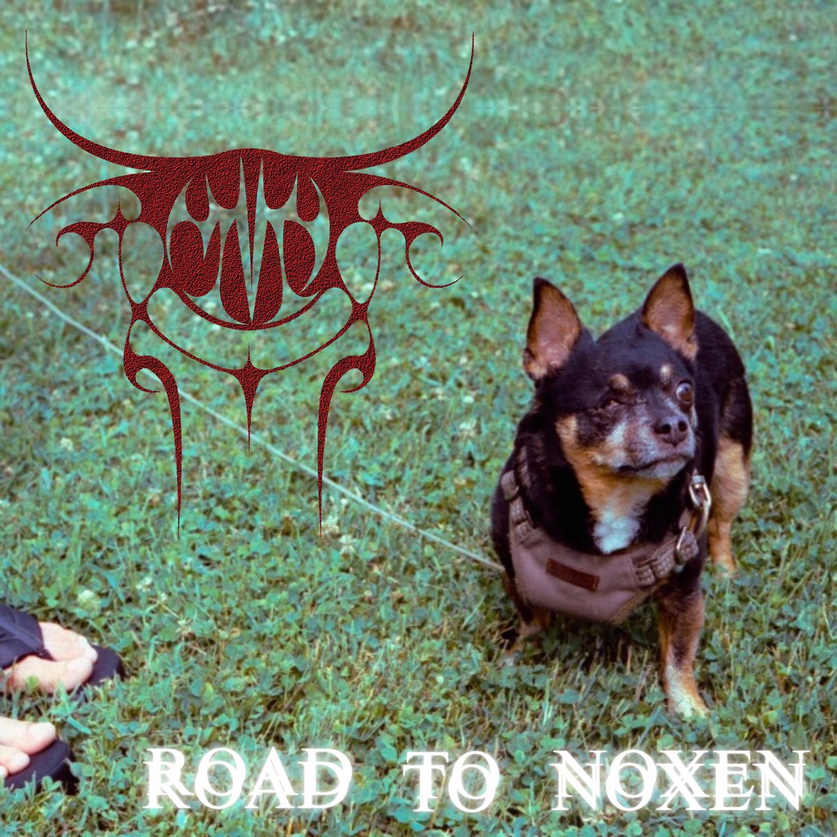 tiedyedress's tweet image. new VIRGOS live album OUT NOW 
&quot;ROAD TO NOXEN&quot; light up and listen
