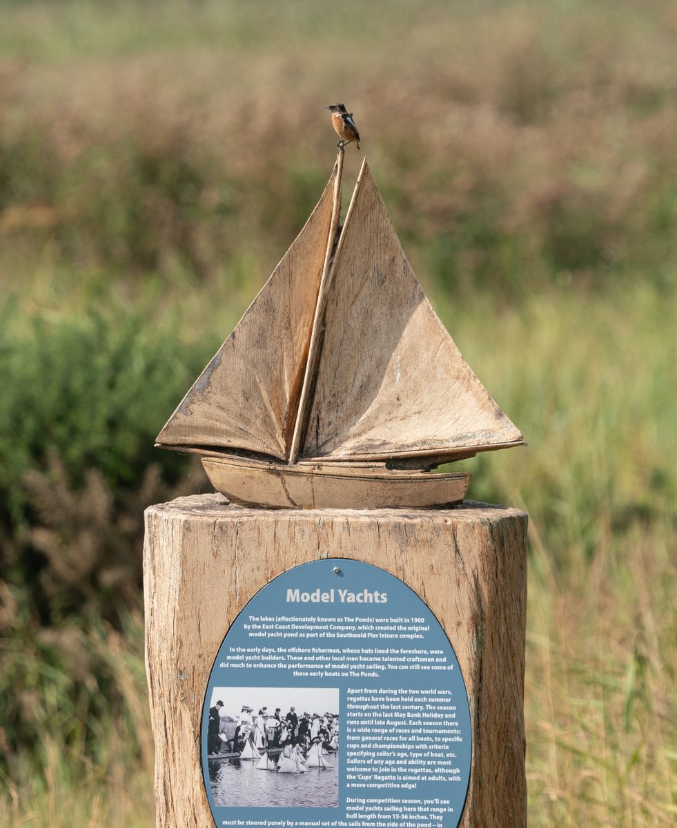 Big fan of *checks notes* Model Yachts