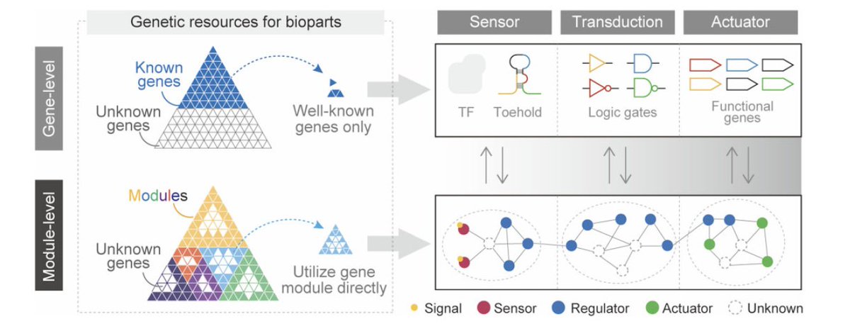 Planning a genome engineering or designing genetic circuits in bacteria? Using iModulons—sets of co-expressed genes—instead of individual genes could be a great strategy to enhance scale and predictability in your designs. bit.ly/3yKCMbO <a href="/UCSDJacobs/">UCSD Engineering</a> <a href="/DTUBiosustain/">DTU Biosustain</a>