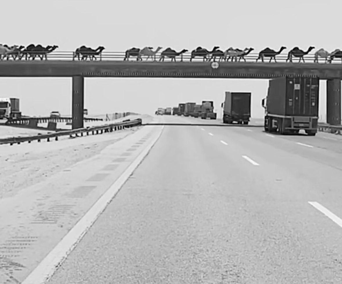 لا تحبّ الحياه أكثر من المفترض
  ولا تخاف  الفراق وكلّنا راحلين