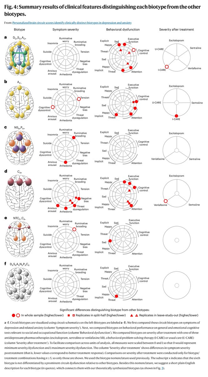 Depression and anxiety aren't single conditions. New research identifies 6 different biotypes that vary in brain circuit activation, symptoms, and reactions.

Some respond better to therapy; others to medication.

Mental health isn't one-size-fits-all. Neither are treatments.