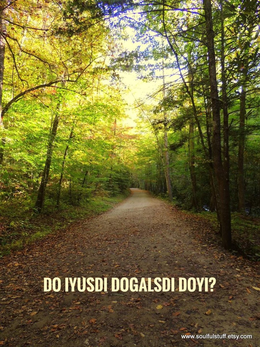 What is happening outside? #dadiwonisi #cherokee #tsalagitsiwoniha #fall