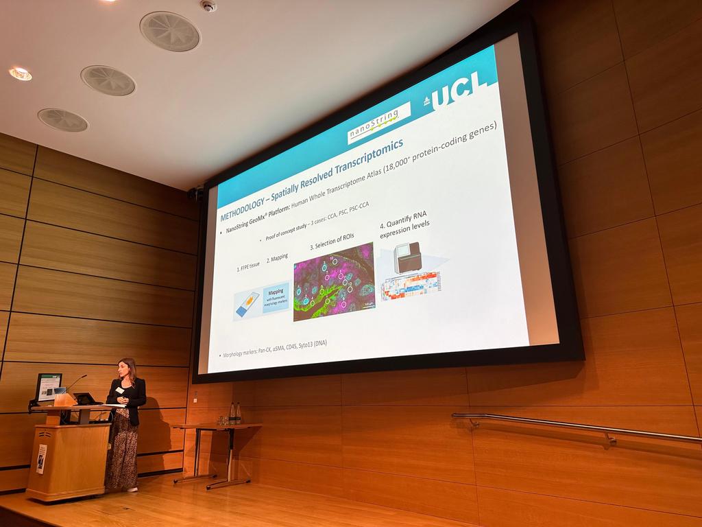 Pilar Acedo tweet media