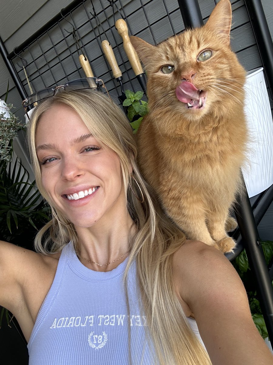 auroraabloom's tweet image. Suit vs Suiter!! 💖💖 

Haven’t done one of these in a while!

 BONUS: My orange car