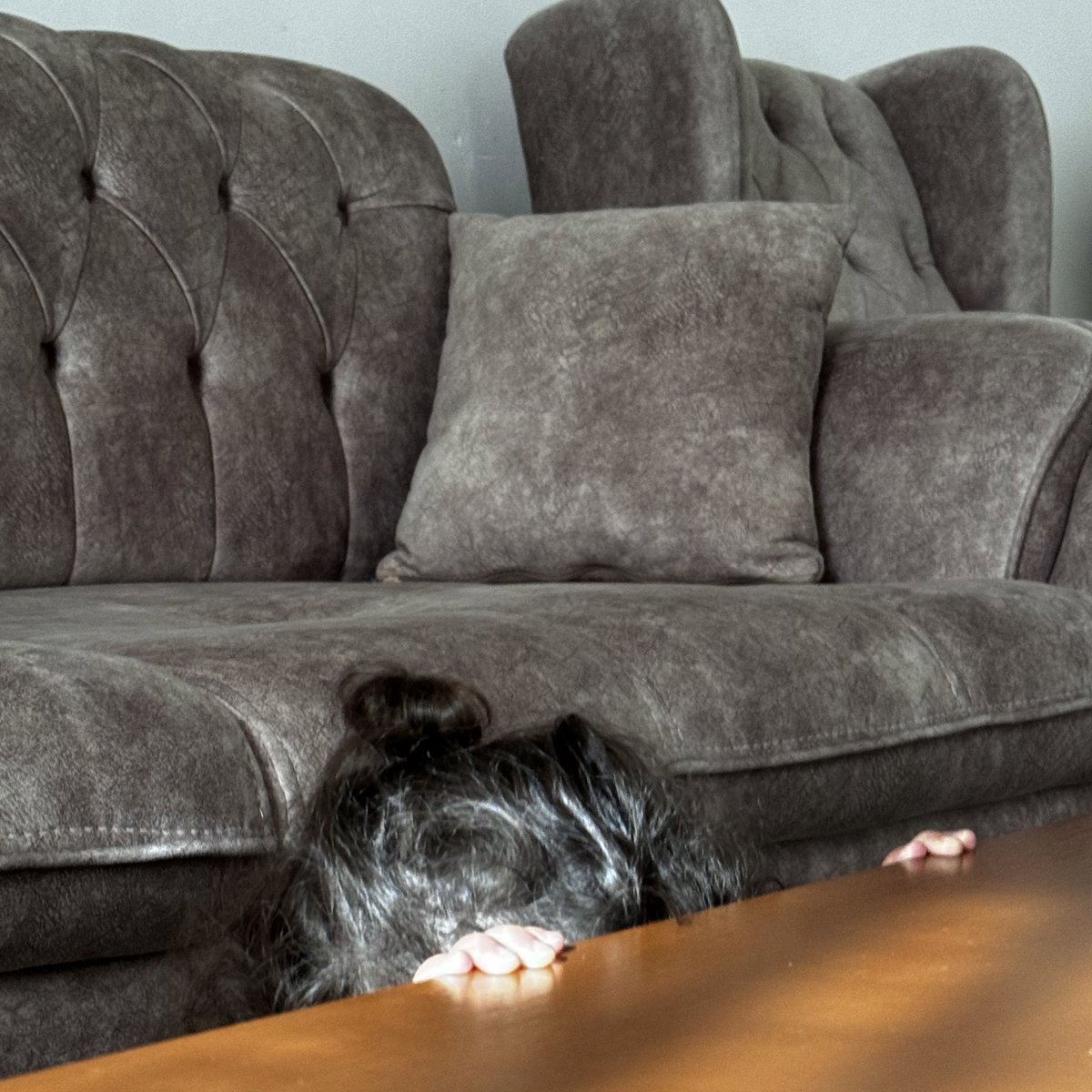 مثلا قایم شده..🥺😂