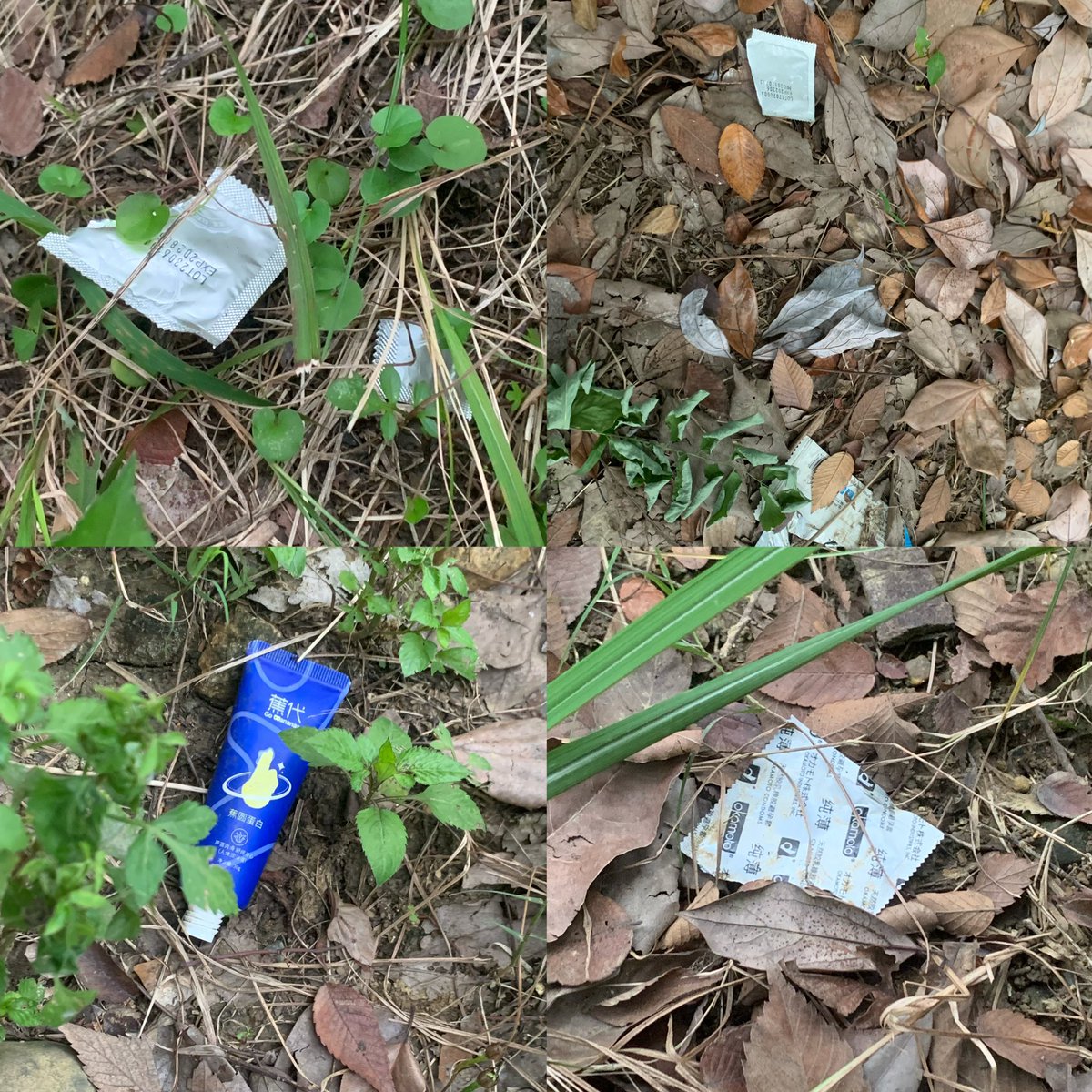 再次打卡桂溪公园，已经不是从前的桂溪了～都是一排排的坐在门口椅子上姐妹交友。真正想玩的都去小树林了～奉劝各位真正想玩的就不要扎堆聊天，有合适的就玩 ，不然坐一晚上都没玩的。
#成都鸟洞 #口交 #射精 #深喉 #深喉操嘴 #吞精 #人肉飞机杯 #暴露 #野裸 #3p #多人3P #农牛 #插嘴 #口爆 #颜射