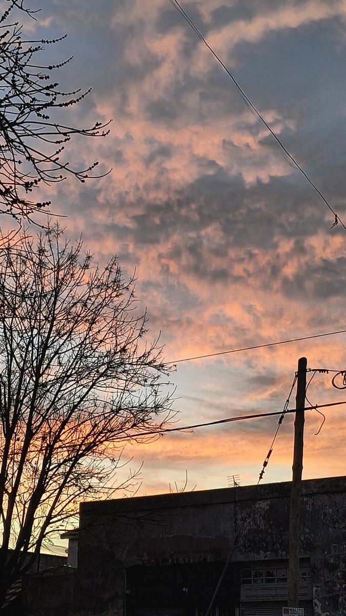 Content from littlerogerss