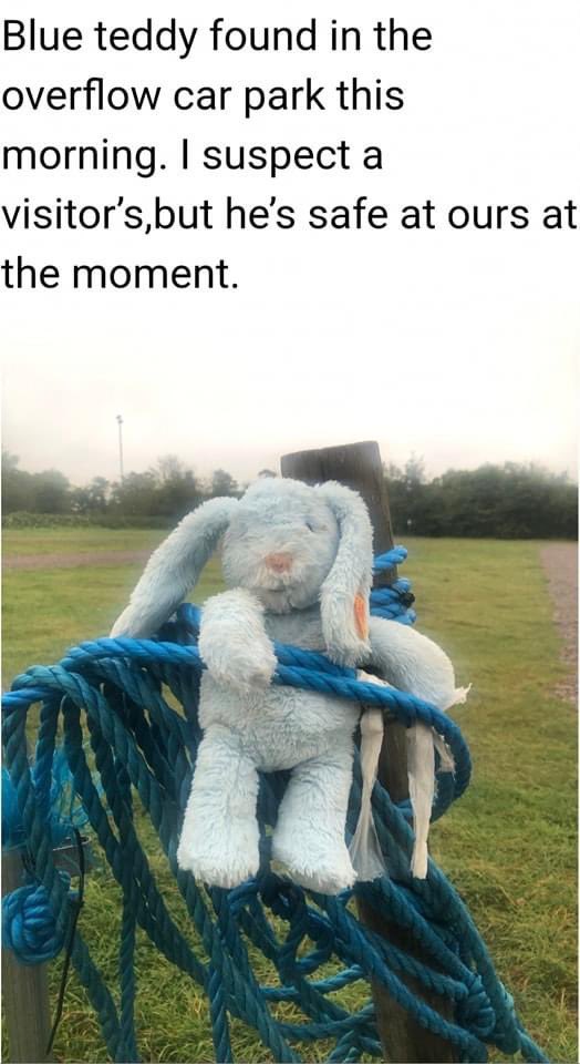 Please RT, this jellycat blue bunny has been found in Arundel. Too cute to not be with their owner. #Arundel