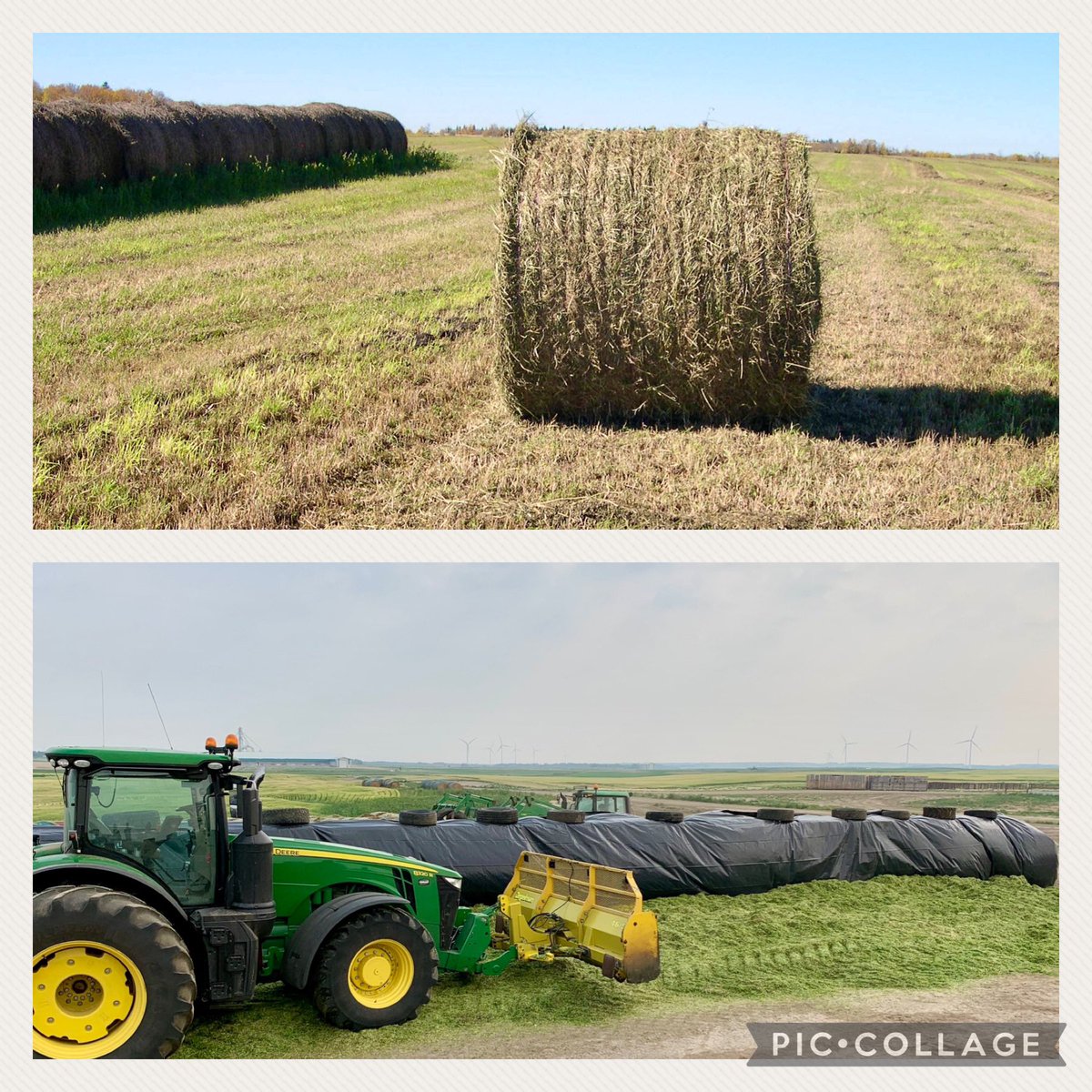 Calculating comparable prices between hay and silage can be done if the value of one crop is agreed upon. Calculations are done on a dry matter basis. This article explains how this is done.

Link in bio.

#YaremcioAgConsulting #BarryYaremcio #BeefConsultant #BeefNutrition