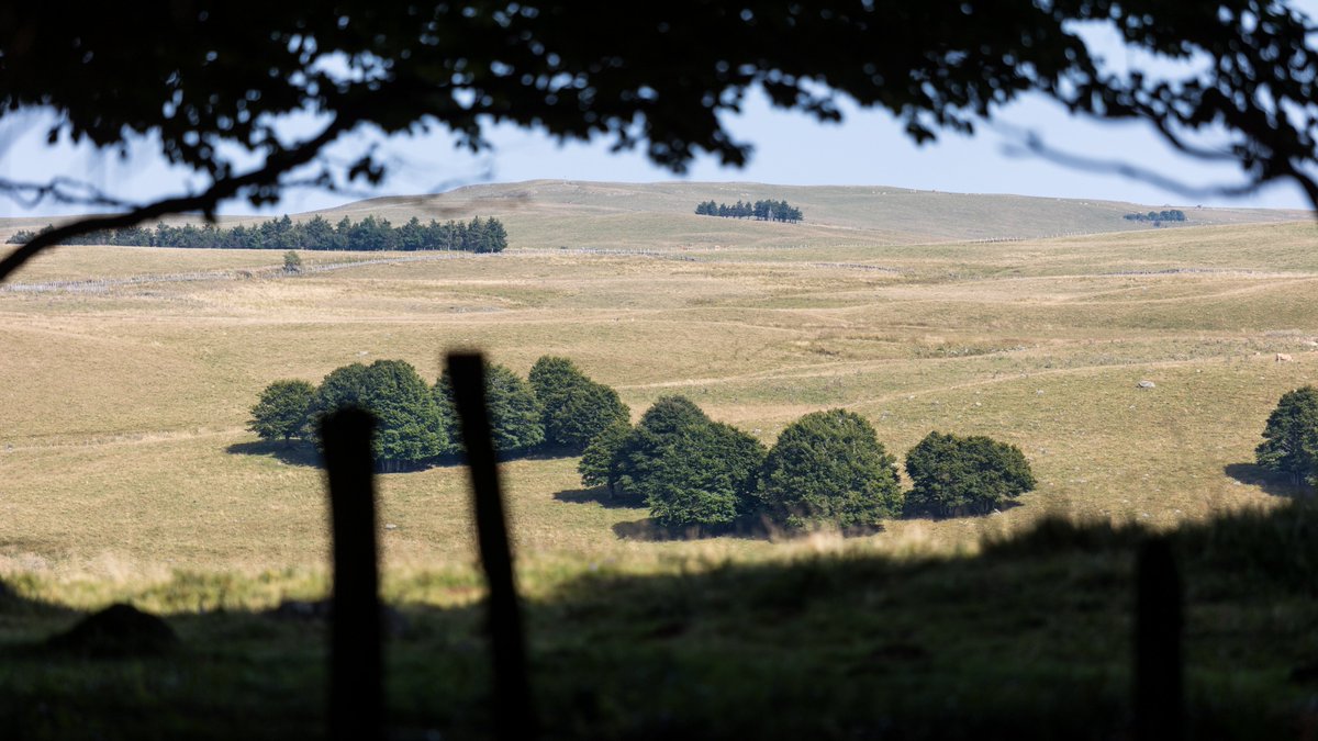 Qu'est-ce que j'aime l'#Aubrac ! Il y a quelque chose de presque mystique sur ce plateau.