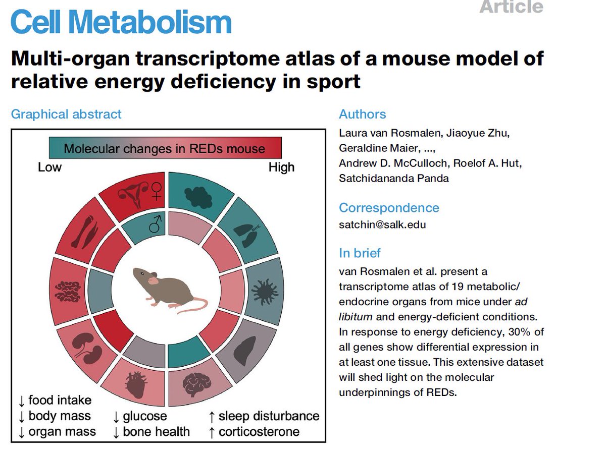 Nearly 40% of professional and recreational athletes do not consume enough energy to match their energy expenditure. Such chronic energy deficiency compromises metabolic, physiological, reproductive, bone and mental health. Here is a mouse model of this syndrome. <a href="/WuTsaiAlliance/">Wu Tsai Human Performance Alliance</a>