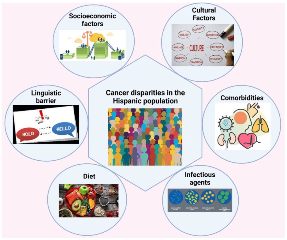 A4: Healthcare systems can take several steps to improve cancer outcomes for Latinos by addressing unique barriers &amp; challenges. Culturally competent care, improving language access, and addressing social determinants of health are a good start! #SaludTues #LatinoCancer #SDOH