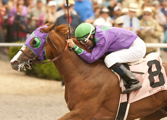PamRecruit's tweet photo. September 3, 1964 birthday #jockey #AlbertoDelgado shown riding #CaliforniaChrome.
If you love #Horses you might like The Horse Who Wanted to Fly from @FireflyBooks Available @ Amazon https://t.co/H065BbGOox or Barnes and Noble or bookstore https://t.co/o9NaJm5fs0 #kidlit https://t.co/4r21MmS79f