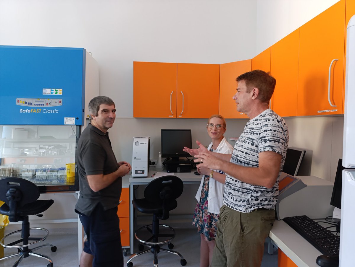 STEPUPIORS tweet media