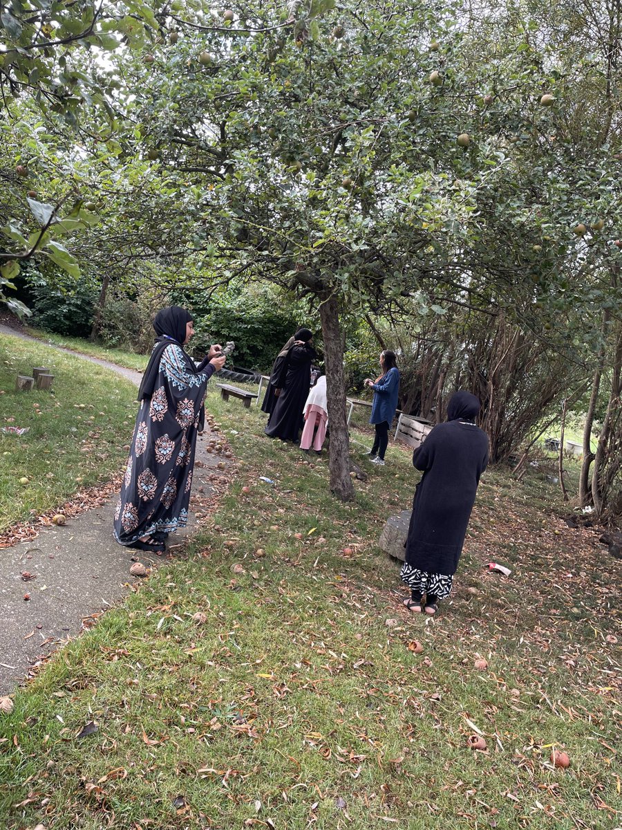 Kaizen Primary tweet media