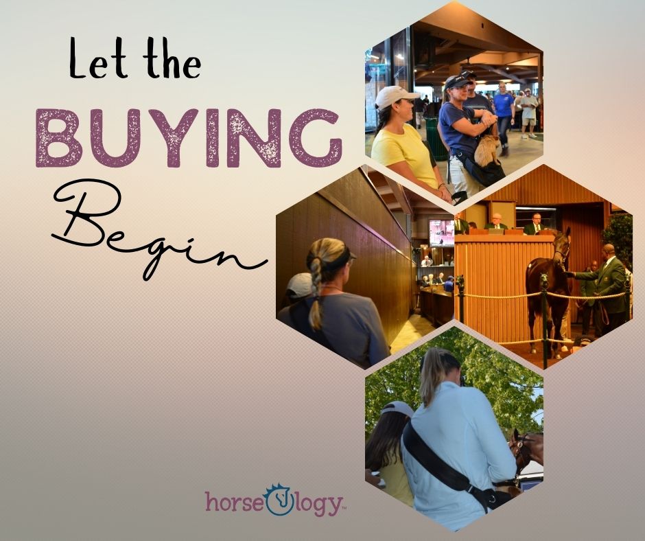 horse_ology's tweet image. Can't make it to Keeneland this year? We will be there! Let us know what you are looking for. Call 855-HORSIES #bloodstockagent #pinhooking #horseology