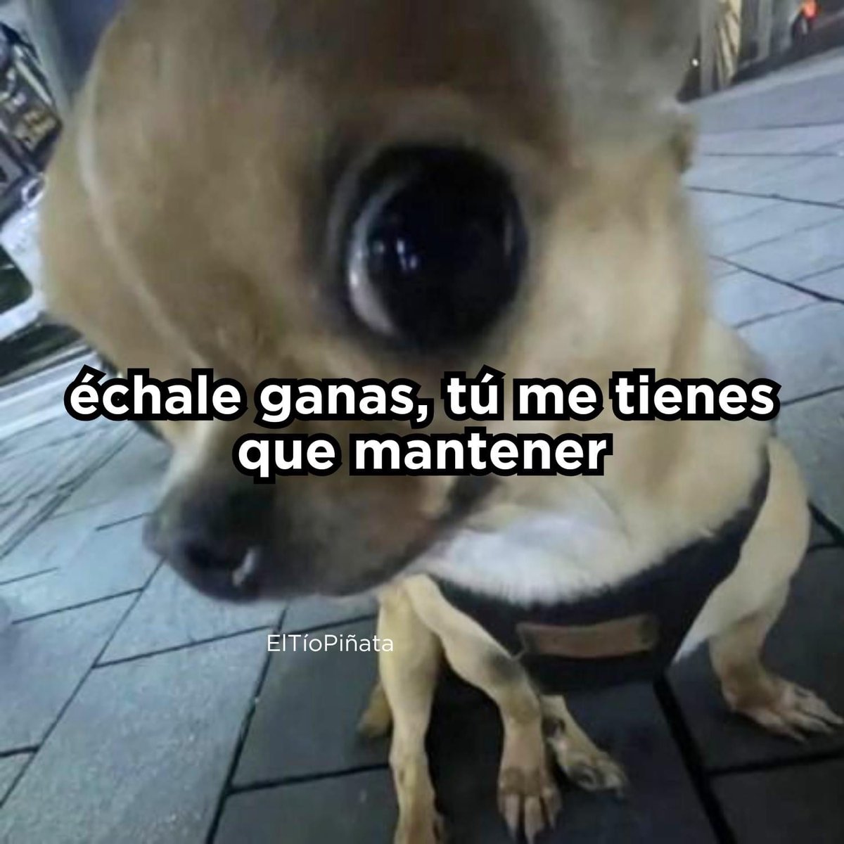 Échale ganas!