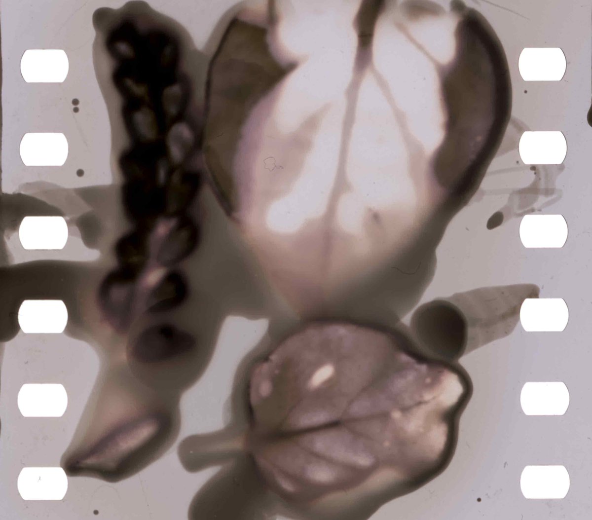 Squeaky Wheel tweet media