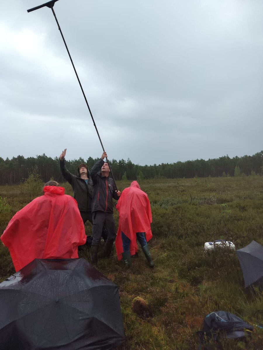 Peatscapes (@peatscapes) on Twitter photo The intense week of #SERE2024 in Estonia ended with a practical crash course by <a href="/WetlandsInt/">Wetlands International</a> about lagg/transition zone restoration in bogs. What a great way to learn about different methods & data through group work, and study the outcomes of restoration work in Tudusoo mires! The intense week of #SERE2024 in Estonia ended with a practical crash course by <a href="/WetlandsInt/">Wetlands International</a> about lagg/transition zone restoration in bogs. What a great way to learn about different methods & data through group work, and study the outcomes of restoration work in Tudusoo mires!