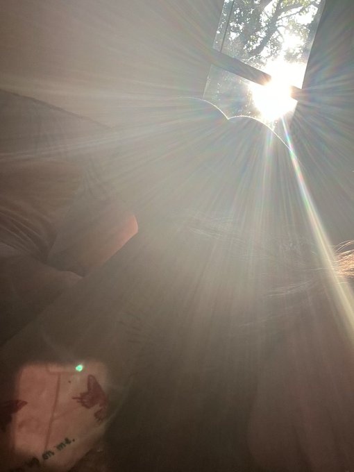 When the morning sun treats you right #pawg #LaborDay #LaCasaDeLosFamososMexico https://t.co/wZZdfL5<a href="/tag/pawg"class="tags">#pawg</a><a href="/tag/laborday"class="tags">#LaborDay</a><a href="/tag/lacasadelosfamososmexico"class="tags"><span>#lacasadelosfamososmexico</span></a>