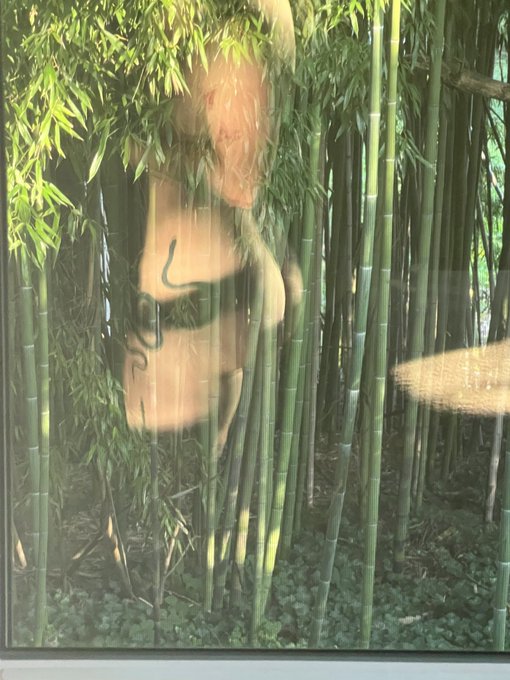 When the morning sun treats you right #pawg #LaborDay #LaCasaDeLosFamososMexico https://t.co/wZZdfL5<a href="/tag/pawg"class="tags">#pawg</a><a href="/tag/laborday"class="tags">#LaborDay</a><a href="/tag/lacasadelosfamososmexico"class="tags"><span>#lacasadelosfamososmexico</span></a>