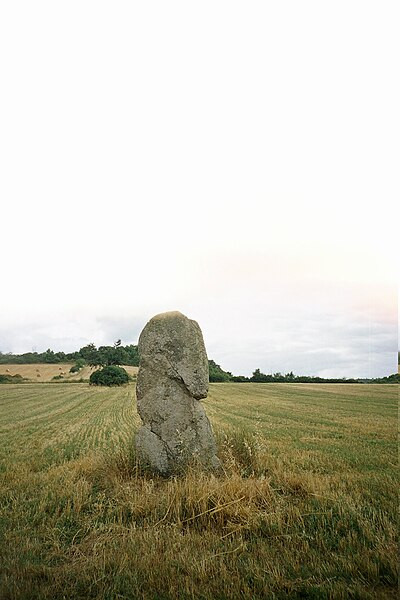 MonumentumFr's tweet photo. Menhir dit Pierre Fichade à #Champeix (#PuyDeDôme) Construction Néolithique. Menhir dit Pierre Fichade (cad. A 385) : classement par liste de 1889.
Suite 👉 https://t.co/iJ8N9e9COT
#Patrimoine #MonumentHistorique https://t.co/RKRCGIQ4rO
