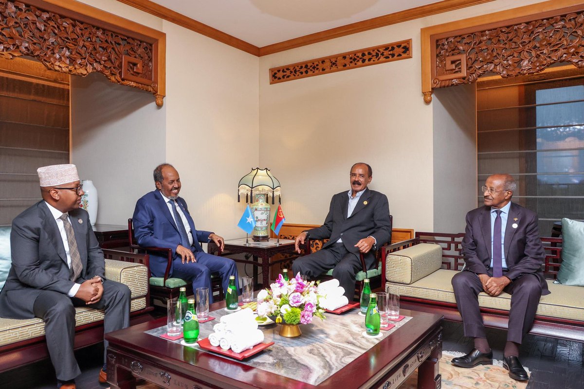 HodanHomes's tweet image. The #Horn of Africa is in good hands. Sleep well O&apos; the children of the Horn.

Eritrea 🇪🇷  🤝🏼 🇸🇴 Somalia.