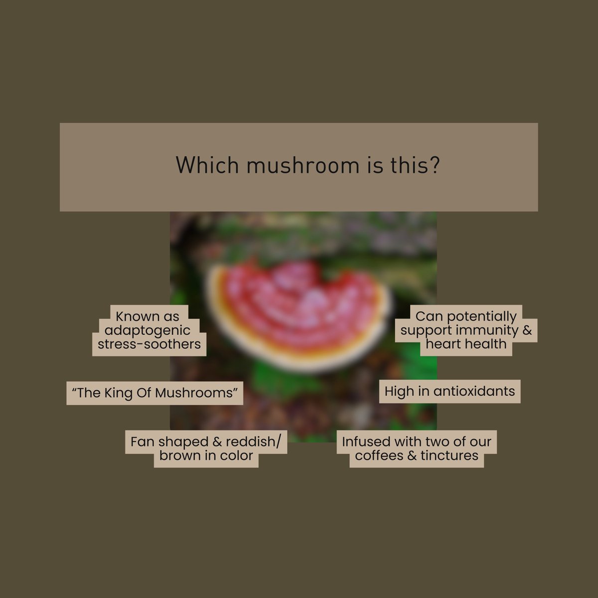 Enerhealth Botanicals tweet media