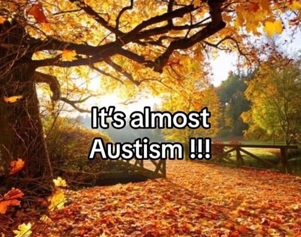 no context memes (@weirddalle) on Twitter photo 