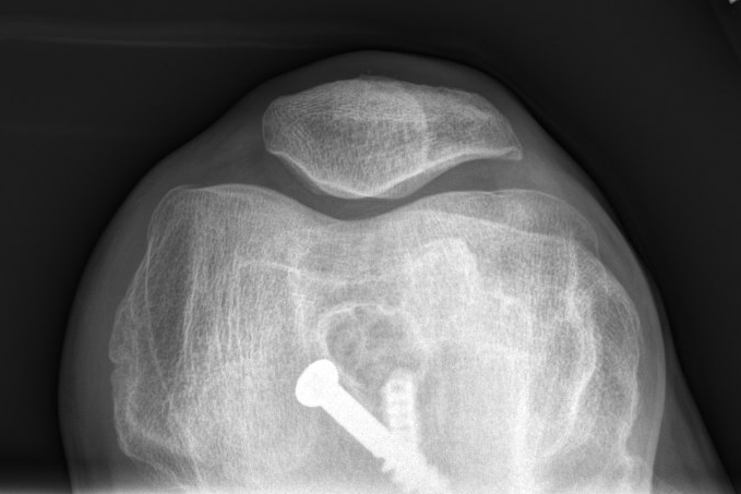 Nicholas Colyvas MD tweet media