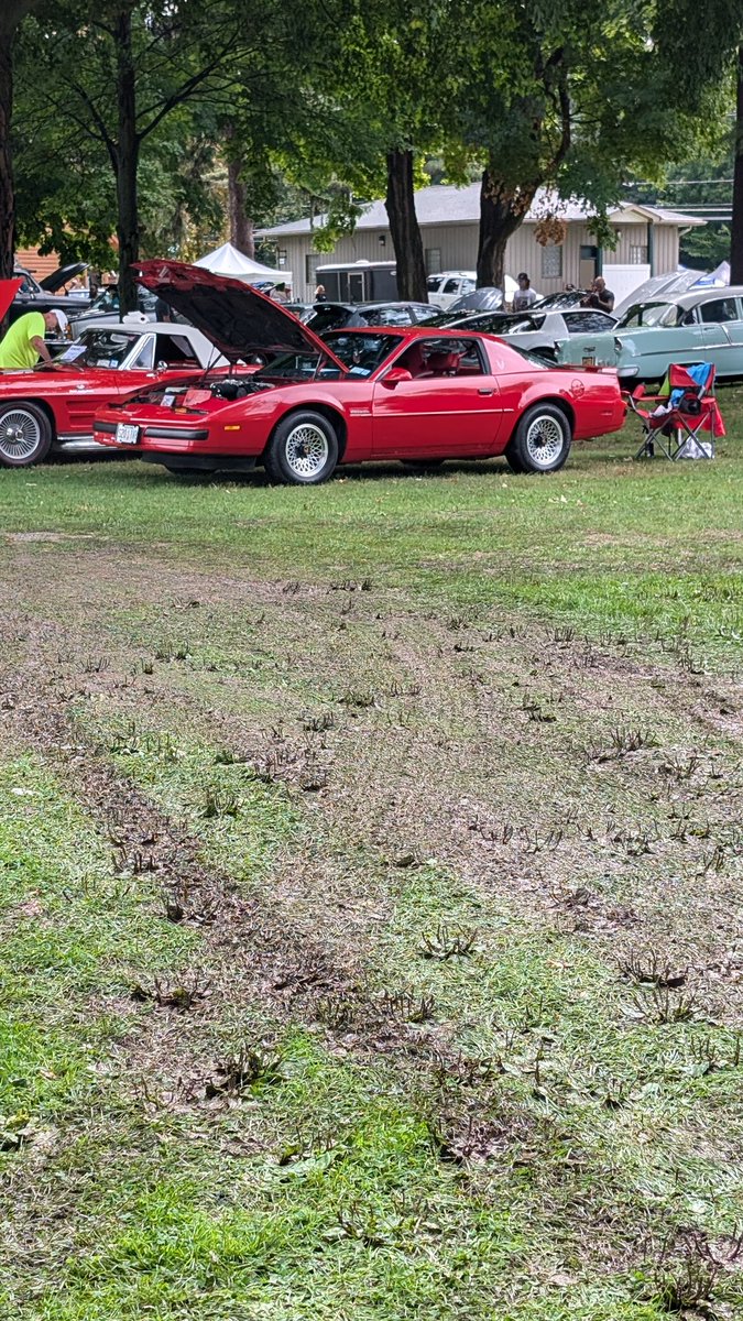 MikeClineJr's tweet image. Had a full Weekend of driving the Firebird.