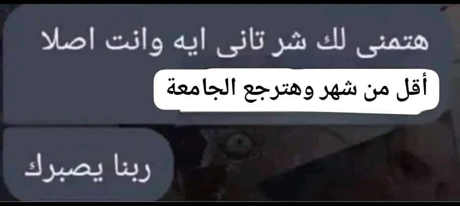 إيـ هـ 𓂆 ب 🇵🇸 (@ohaab_7) on Twitter photo 