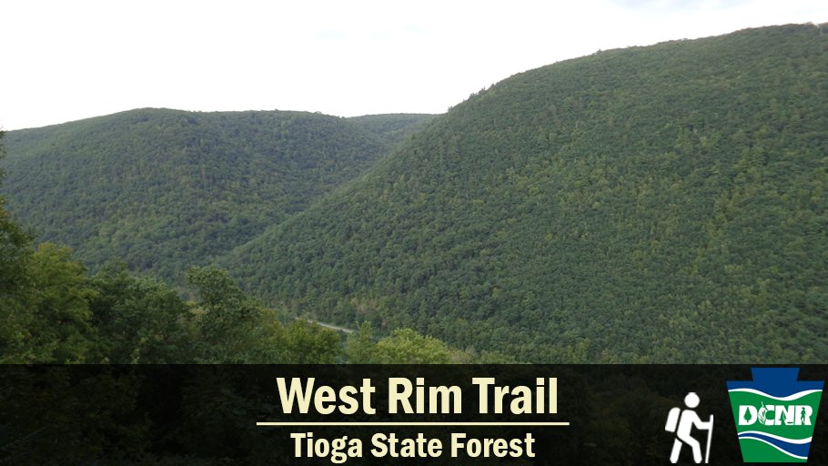 DCNRnews's tweet photo. The West Rim Trail is a 30-mile hiking trail located in #TiogaStateForest. The trail is adjacent to the western rim of Pennsylvania's ‘Grand Canyon,’ the Pine Creek Gorge.
Many vistas have been cleared along the trail to provide hikers with spectacular views of the Pine Creek Valley. In some spots, the trail follows the very rim of the Canyon, so watch your step.
Learn more ➡ https://t.co/4MA1qZyiYp. #TrailTuesday #PaStateForests