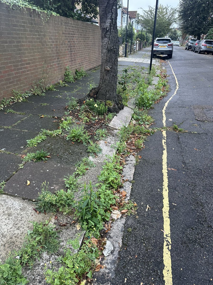 Do any #ealinghour people know why our pavements are gradually being reclaimed by nature? Is it an <a href="/EalingCouncil/">Ealing Council</a> no pesticides policy or something else?