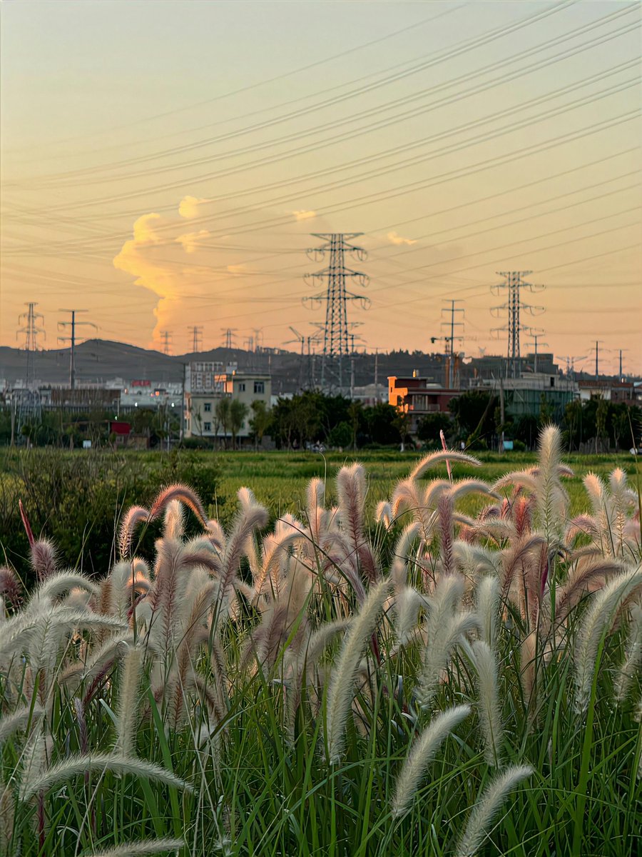 MAHADEVASFA's tweet image. こんな何気ない瞬間が、私の日々を特別にしてくれる。🌈🌻