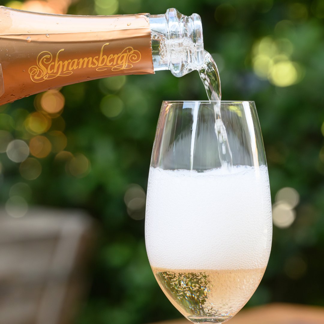 Schramsberg's tweet photo. It's always a cascade of bubbles and a splash of celebration with Schramsberg Bubbles! 🥂🍾

#schramsberg #sparklingwine #methodetraditionnelle #popfizzclink #methodechampenoise #blancdenoirs https://t.co/lzScJnwdZH