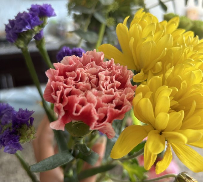 you enjoy making Me happy&hellip;that&rsquo;s why you drive for hours to deliver a bouquet! https://t.co/FPMV0cwH<a href="/tag/cyrwheel"class="tags"><span>#cyrwheel</span></a>