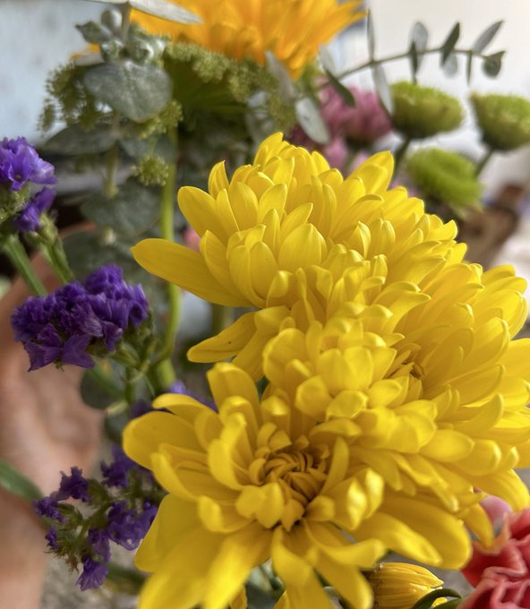 you enjoy making Me happy&hellip;that&rsquo;s why you drive for hours to deliver a bouquet! https://t.co/FPMV0cwH<a href="/tag/cyrwheel"class="tags"><span>#cyrwheel</span></a>