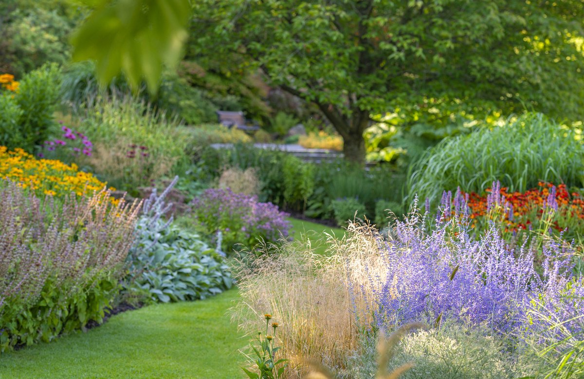 Balibart. tweet media