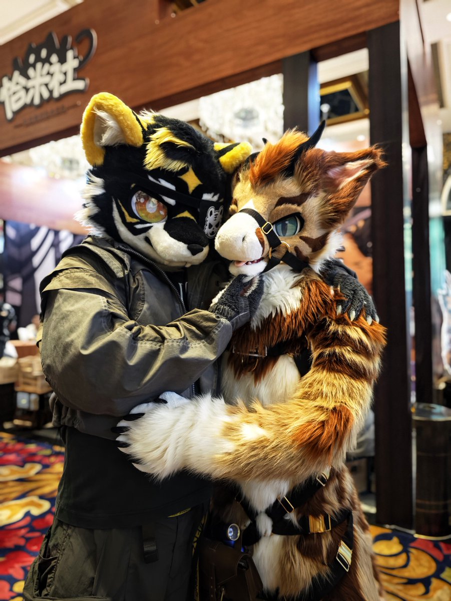 I got caught by a cute tiger during WMFC 🧡

🐯 <a href="/BlackYanWu/">黑演武YanWu</a> 
📸 <a href="/Cookizi/">Cookizi</a>