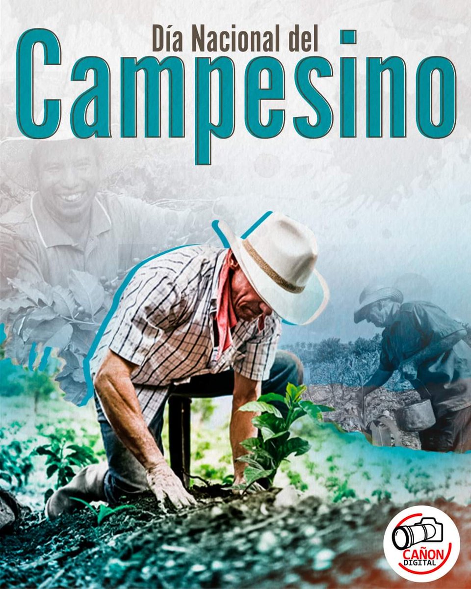 El 3 de septiembre de 1971, el dirigente campesino, Bernardino Díaz Ochoa fue capturado y asesinado por un capitán de la Guardia Nacional en La Tronquera, Matagalpa. 

En honor a su legado cada 3 de septiembre se celebra el Día Nacional del Campesino. 🇳🇮🇳🇮🇳🇮🇳🇮

#Nicaragua
