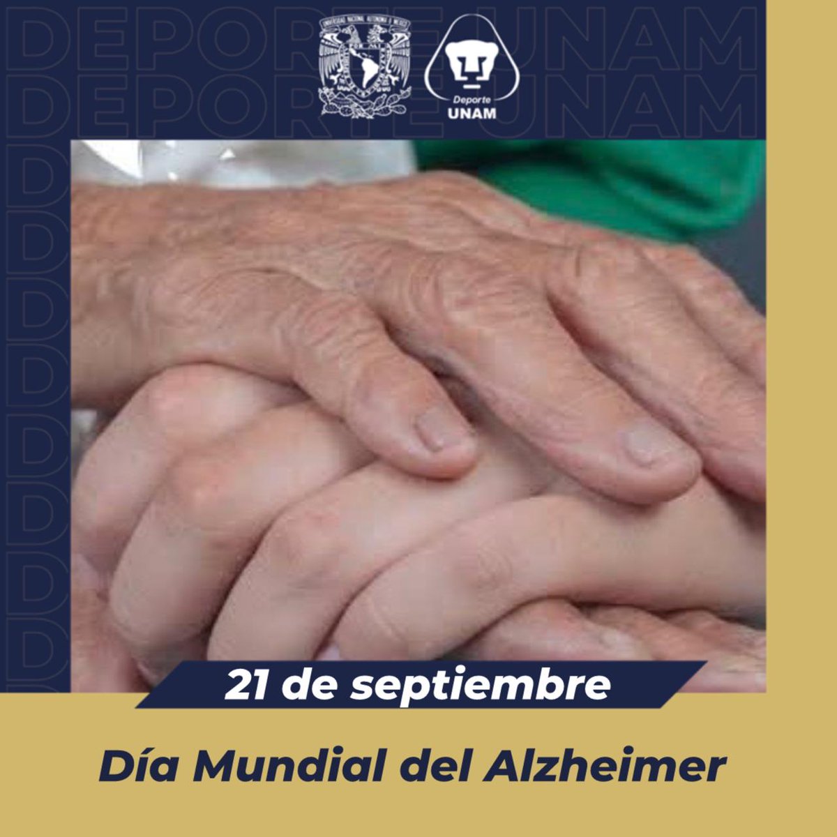 DeporteUNAM's tweet photo. 🗓️ 21 de septiembre: Día Mundial del Alzheimer

#SoyDeporteUNAM https://t.co/FThM7f6Yoi