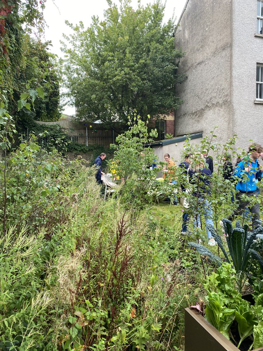 John O'Halloran (@johbees) on Twitter photo Wonderful to open the garden sanctuary <a href="/GreenCampusUCC/">UCC Green Campus</a> <a href="/UCC/">UCC Ireland</a> ! Huge thanks to our colleagues <a href="/CACSSS1/">UCC Arts, Celtic Studies and Social Sciences</a> <a href="/uccsoc/">UCC Sociology & Criminology</a> ! Creating a ‘hares corner’ for reflection and enquiry & learning! Wonderful to open the garden sanctuary <a href="/GreenCampusUCC/">UCC Green Campus</a> <a href="/UCC/">UCC Ireland</a> ! Huge thanks to our colleagues <a href="/CACSSS1/">UCC Arts, Celtic Studies and Social Sciences</a> <a href="/uccsoc/">UCC Sociology & Criminology</a> ! Creating a ‘hares corner’ for reflection and enquiry & learning!