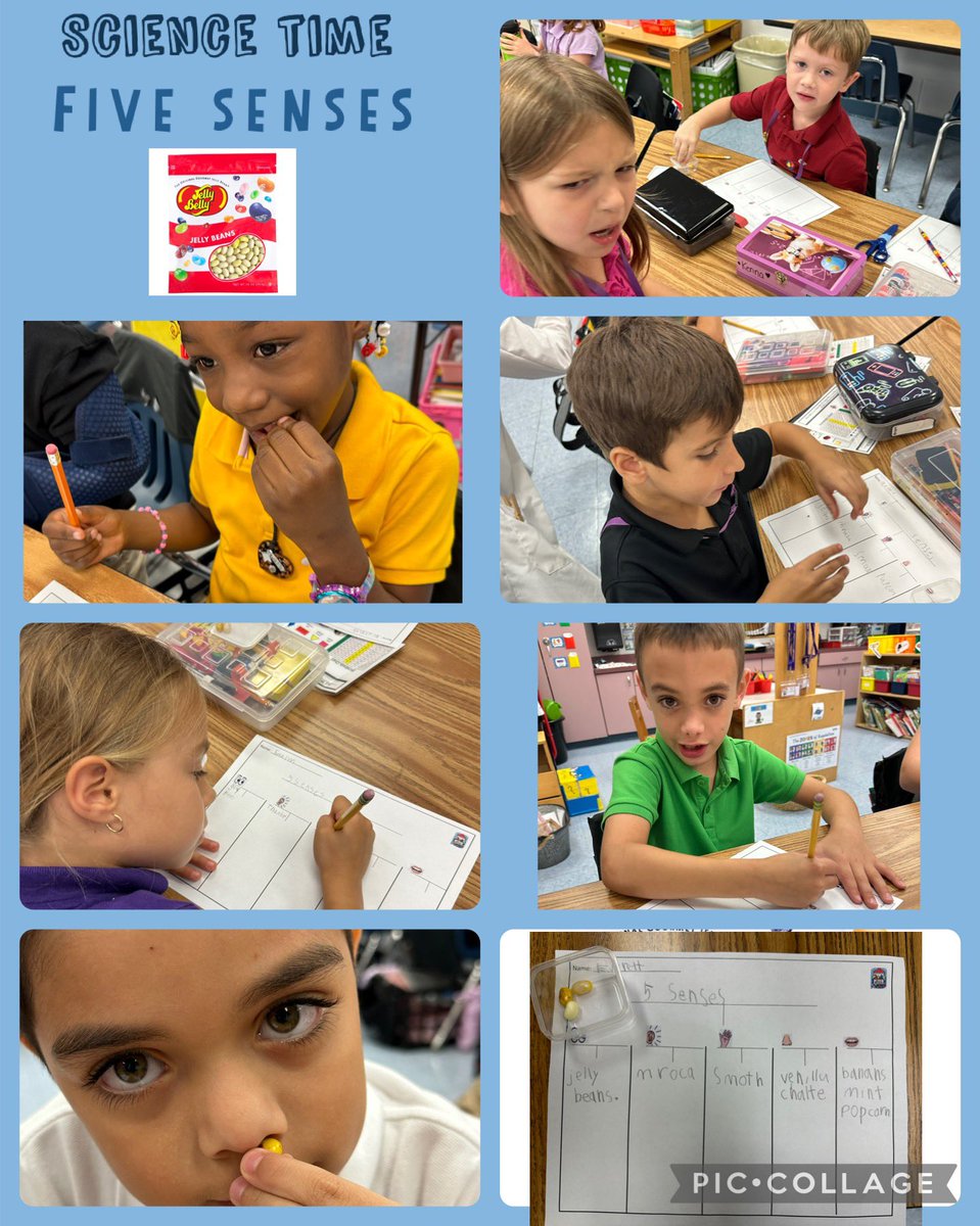 Wrapping up five senses by using them to describe different flavors of jelly beans! Thank you <a href="/CollierScience/">Collier Science Dept</a> for sharing this lesson! <a href="/ccpssteam/">@CCPSSTEAM</a> <a href="/collierschools/">Collier County Public Schools</a>