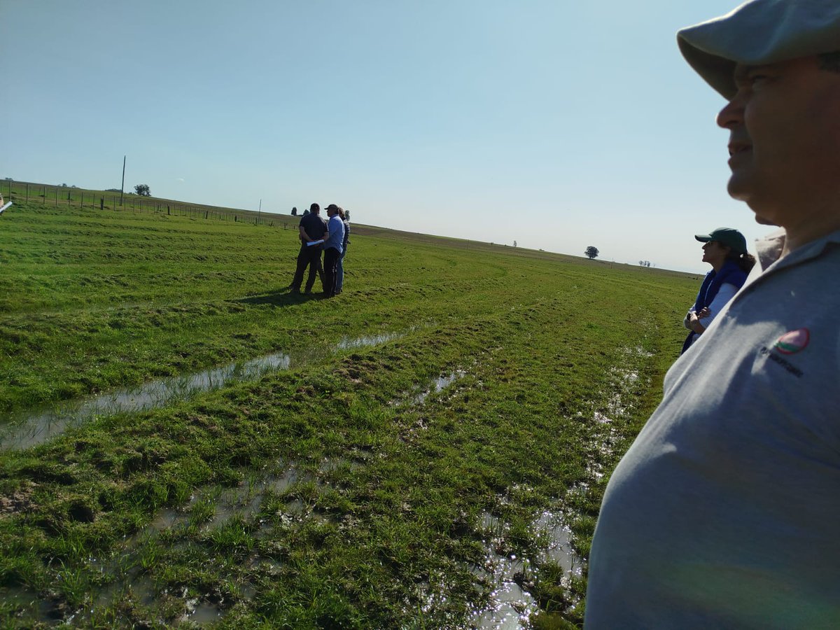 #Ahora en📍Fraile Muerto, Cerro Largo

Jornada de Campo - Proyecto Arroz-Ganadería🌾🐮
#SistemaArrozGanadería 
🖼️👉acortar.link/ZRkH07

#FPTA381 <a href="/ACAoficial/">ACA</a> <a href="/INIA_UY/">INIA URUGUAY</a> #PlanAgro 
 <a href="/JCerrolargo/">Jimena Gómez</a> <a href="/SantiagoArmen14/">Santiago Armentano</a>  <a href="/slombardo34/">Santiago Lombardo</a> #SFRCL #LTFM #SACL <a href="/GentosUy/">Gentos Uruguay</a> <a href="/CalvaseUy/">Calvase</a> <a href="/AgrofuturoSA/">Agrofuturo</a>