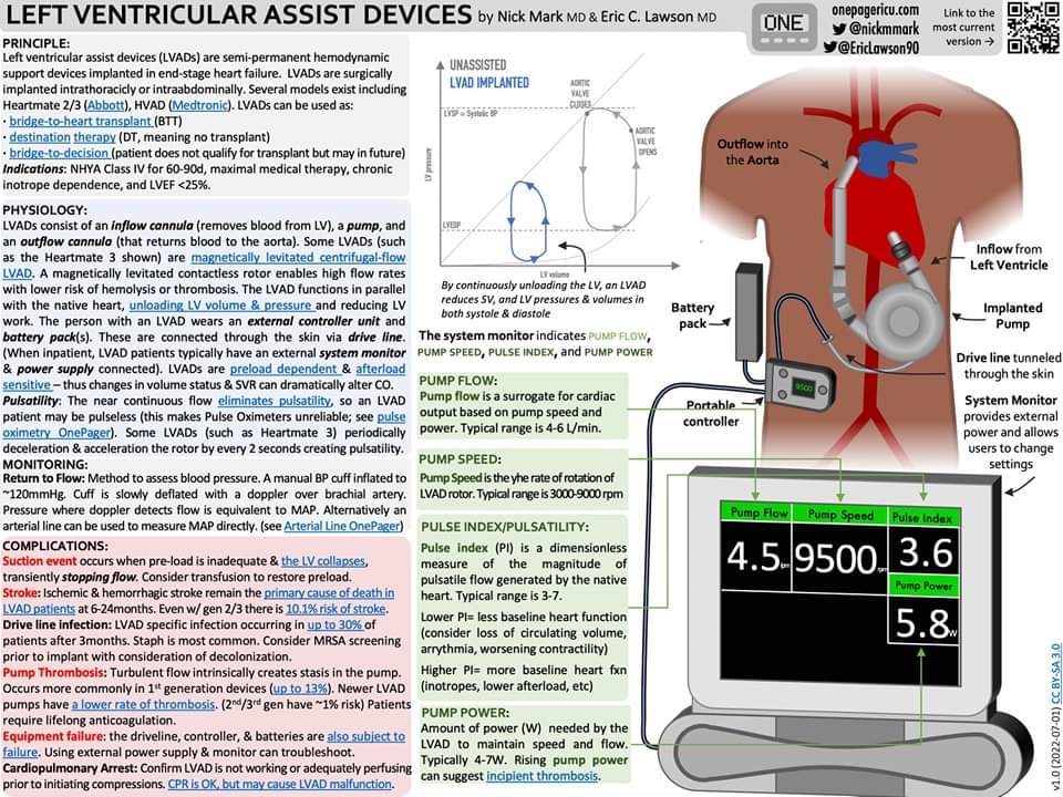 The Heart tweet media