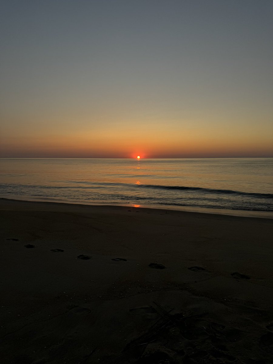 eCommerceTeo tweet media